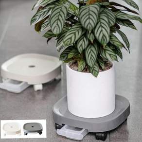 베란다정리 이동식 화분 받침대 물받이 바퀴달린 트레이27cm 79000EA 1EA