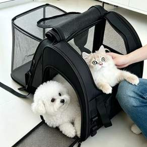 이후쿠 확장형 강아지 이동가방 백팩 차량용 고양이 이동장