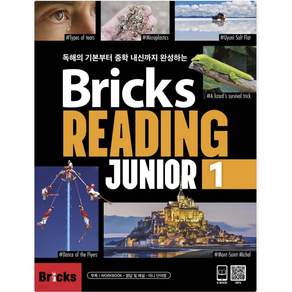 Bricks Reading Junior 1
