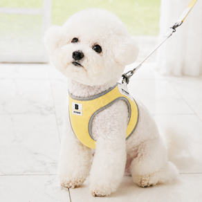 강아지 하네스 소형견 조끼형 가슴줄 편안한 착용감 산책용