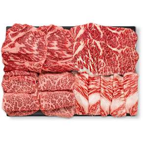푸드지 마장동 1++(9)등급 투뿔 한우 모듬세트, 800g, 1개