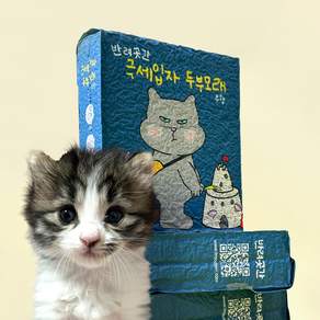 반려곳간 수분코팅 두부모래 1.5mm 극세입자 대용량 무향 1박스
