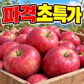 [하루딱50박스한정판매] 초고당도 황홀한맛 문경산지직송 감홍사과