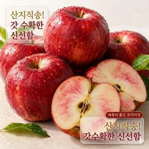 피치사과 고당도정품엔부사과 산지직송
