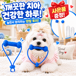 JCJX 반려견 TPR 덴탈토이 이갈이장난감 구강케어 치석제거 터그놀이 양치보조 칫솔2종 포함