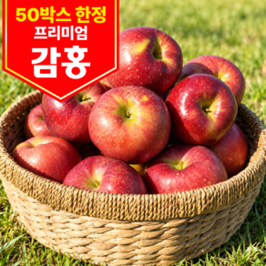 [50박스한정] 고당도 가정용 문경 감홍사과
