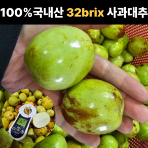 [재구매율1위] 당일수확 고당도 특등급 사과대추
