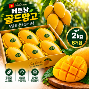 [2주특가] 특상품 베트남 골드망고 특별할인