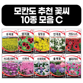 모듬 꽃씨앗 10종 C세트 봄 가을 사계절 파종 클라키아 솔체꽃 수레국화 시레네 아그로스템마 아도니스 안개초 알릿섬 양지꽃 유채꽃 꽃씨 모음
