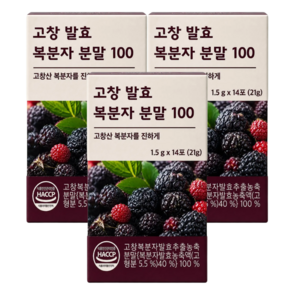 고창 복분자분말 식약청인증 국산 고창복분자발효추출농축분말 100% 스틱 HACCP 인증 라이프플러스