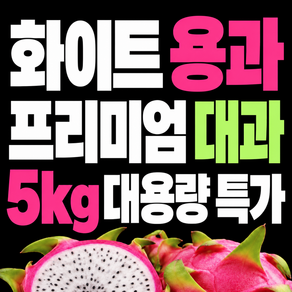 프리미엄 용과 베트남 구매1위 화이트 백용과 대과