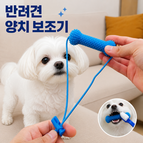 반려견 양치 보조기 강아지 치아관리 실리콘 덴탈토이 칫솔 보조 장난감