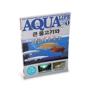 아쿠아라이프 2015년 1월호, 단품
