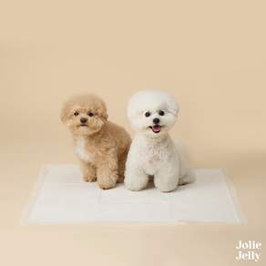 졸리젤리 NO 고민 배변패드 최고급펄프 베이직 플러스 중형 +강력흡수 + 강력탈취 + 배변유도