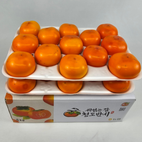 [산지직송] 씨없는 청도감 자연의 맛 청도 홍시 반시 연시