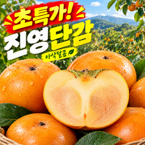 [초특가파격할인] 고당도 진영 햇 단감