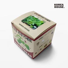 [언브랜디드] 강낭콩 키우기세트, 1개