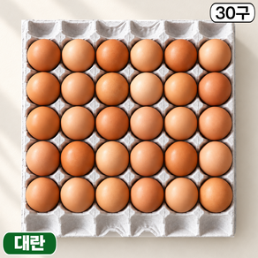제이피농장 난각번호 3번 무항생제 계란 HACCP 신선한 대란