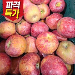 [시즌한정특가] 사과 감홍사과 국산 고당도 감홍 사과