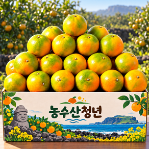 [최우수농가] 제주 극조생감귤 조생감귤 청귤