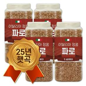 25년산 햇곡 통에담은 이탈리아 파로 쌀 엠머 밀 아라비노자일란 함유