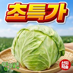 [초특가]국내산 농장직송 싱그럽고 아삭한 양배추