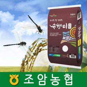 26년햅쌀 수향미10kg 조암농협 정품인증 스티커부착36118416