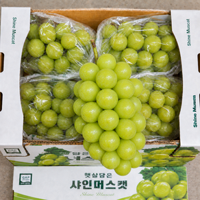 [프리미엄] 특상품선별 초고당도 김천 샤인머스캣