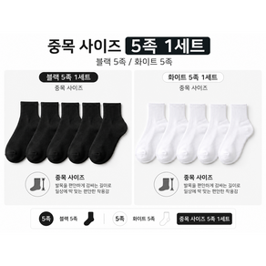 중목 스포츠 양말 5족 1set 사계절 데일리 골지 남녀공용