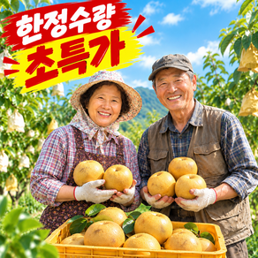 [노마진한정특가] 산지직송 가정용 고당도 햇나주배