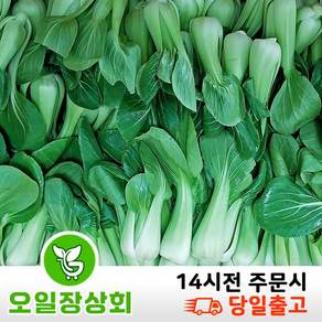 오일장 상회 국내산 청경채 상 등급 4KG 8KG 내외