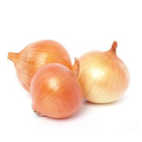 (짓다팜)햇양파 국내산양파 창녕양파 1kg