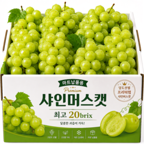 [30박스한정] 최고20brix 경북 샤인머스캣 산지직송