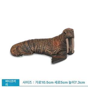 모형 화석 희귀 피규어 제품 고대 수집 물고기 동물 희귀동물 해양생물 수집품 실러캔스