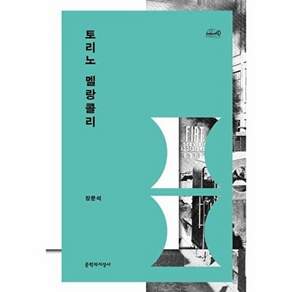 문학과지성사 토리노 멜랑콜리