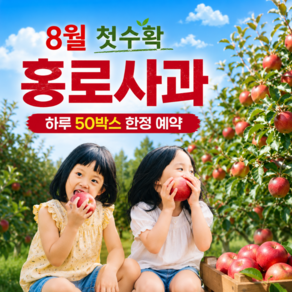 [첫수확 한정수량] 홍로사과 햇사과 청송홍로사과 장수사과