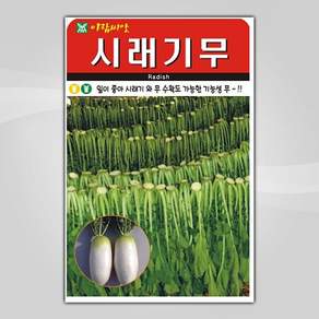 슬로시 김장채소 씨앗 종자 배추 무 갓 양파 시금치 알타리 당근 대파