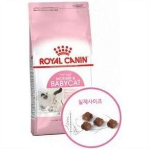 고양이 사료 어미 고양이 사료 영양 새끼 단백질 성장 펫푸드 건사료 영양제 아기 자묘