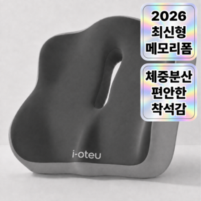 아이오트 메모리폼 바른자세 방석 Pro 꼬리뼈 엉덩이
