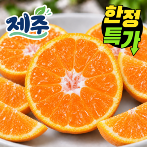 [한정특가] 품질보증 고당도 제주 감귤