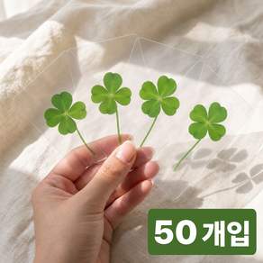 러빅 네잎클로버 코팅카드 책갈피 행운선물 합격 응원