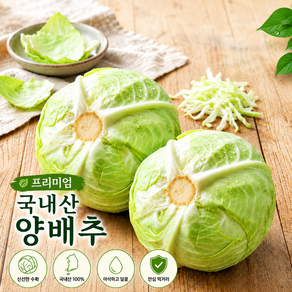 (국내산)프리미엄 양배추
