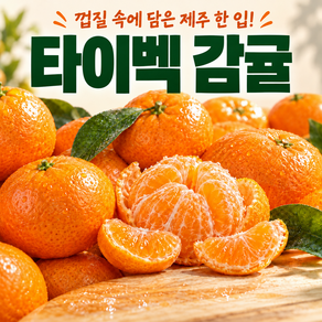 초고당도 극조생 타이벡 제주 감귤