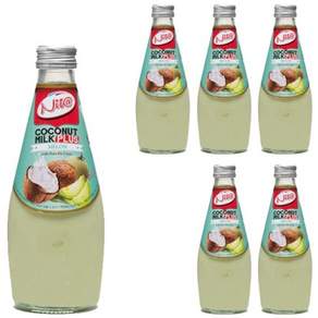 니타 코코넛밀크 플러스 멜론맛