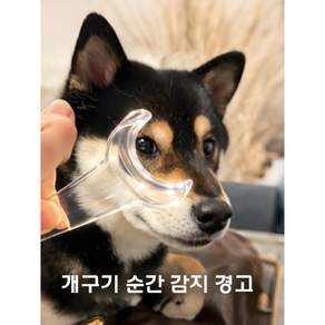 반려동물 강아지 양치 치아 입벌리개 개구기 소형견용