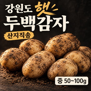 국내산감자 두백감자 휴게소감자 햇감자 포슬포슬 분감자 산지직송