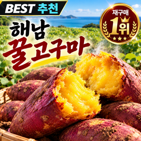 [단독초특가] 하루딱100박스한정 꿀당도 해남 꿀고구마