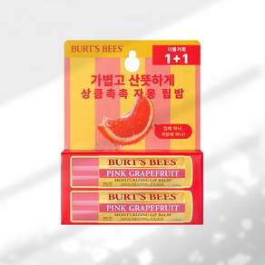버츠비 립밤 4.25g 더블 기획 2종