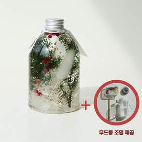 하바리움 무드등 만들기 DIY 키트