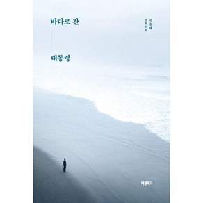 바른북스 바다로 간 대통령